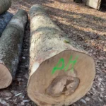 Grumes d'érable – 4 camions (200 stères) – PEFC