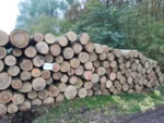 Grumes de frêne – 4 camions (200 stères) – Certifié PEFC & FSC – Image 4