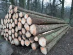 Grumes d'épicéa – 2 camions (100 stères) – Certifié PEFC & FSC – Image 2