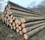 Grumes d'épicéa – 2 camions (100 stères) – Certifié PEFC & FSC