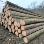 Grumes d'épicéa – 1 camion (50 stères) – Certifié PEFC & FSC