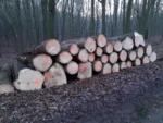 Grumes d'épicéa – 2 camions (100 stères) – Certifié PEFC & FSC – Image 3
