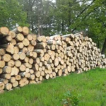 Grumes de bouleau – 1 camion (50 stères) – Certifié PEFC & FSC