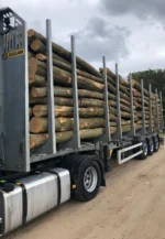 Nadelholzstammholz (gemischt) – 2 LKW-Ladung (100 rm) – PEFC – Image 2
